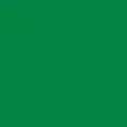 thumbnail image 4 of Playera Blusa De Capybara Recostado Bebiendo Soda Capibara Ropa De Mujer Color Verde Talla Mediana Marca Emil SaEs, 4 of 4