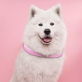 thumbnail image 4 of Collar Para Perro Con LED A Batería, Collar De Nailon Con Brillo Intermitente L Rosa SM SunniMix Collar luminoso, 4 of 8
