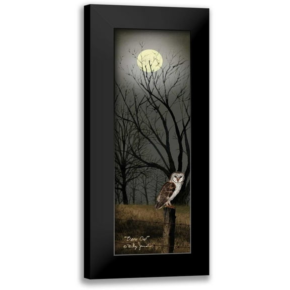 Jacobs, Billy 7x14 Black Modern Framed Museum Art Print Titled - Barn Owl