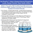 thumbnail image 6 of Healthy Kidney PhosFix: Kidney Health Cleanse plus Renal Supplement Vitamin, Restores Phosphorus Balance, 6 of 9