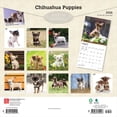 thumbnail image 2 of Chihuahua Puppies | 2026 12x24" (Hanging) Square Wall Calendar | Plastic-Free, 2 of 9
