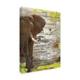 thumbnail image 2 of Trademark Fine Art 'The Elephant I' Canvas Art by Irena Orlov, 2 of 4