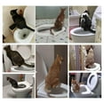 thumbnail image 1 of Cat Toilet Trainer Home Plastic Urinal Container kitten Seat Potty Cat Toilet Training Set Blue ONLY TRAY, 1 of 9