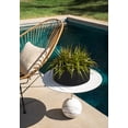 thumbnail image 3 of Veradek Mod Series Bowl 5" Bowl - 2 Pack (Black), 3 of 7