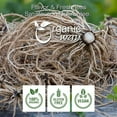 thumbnail image 3 of Organic Way Valerian Root Cut & Sifted - European Wild Harvest Organic & Kosher Certified | Raw, Vegan, Non GMO & Gluten Free | USDA Certified | Origin - India (1/4LBS / 4Oz), 3 of 4