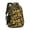 Sunflower and Bud, variant on Sunflower and Leopard Brown Pattern Cute School Backpack Bag with Padded Back and Adjustable Shoulder Straps 16.9 X 12.6 X 5.9 Inches