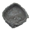 thumbnail image 1 of de Reptiles Alimentos Y Agua Esquina Suministros Tazón Reptil Tipo 1, 1 of 6