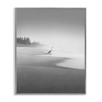 Stupell Industries Heron on Beach Coast Coastal Photography Gray Framed Art Print Wall Art, 11 x 14