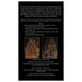 thumbnail image 4 of Kristin Ess Hair Gloss in Smoky Topaz, Medium Neutral Blonde - 4 Week Semi Permanent Hair Color for Women - Shine - Hair Dye Glaze, 4 of 5