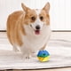 thumbnail image 5 of Juguete Interactivo para Masticar con Sonido para Perros, Alivio de La Dentición Congelable para Cachorros y Perros, Hueso Masticable Duradero para Limpieza de Molares, Juguete Dental para Mascotas d, 5 of 5