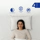 thumbnail image 5 of Spring Air Paquete de Almohadas Osos 100% Algodón - Estándar, 5 of 6
