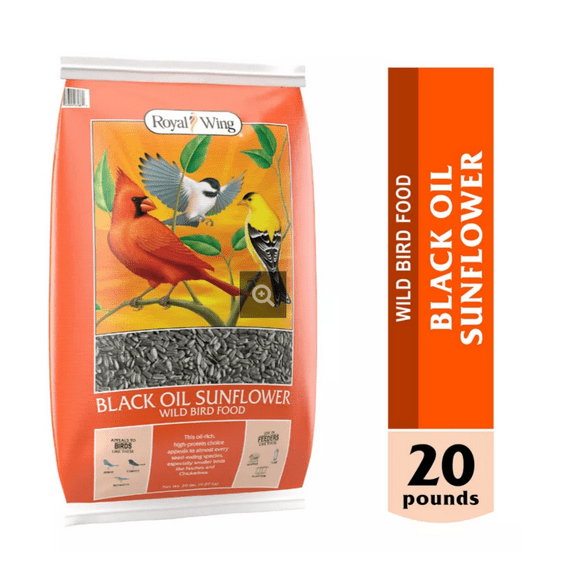 Royal Wing Black Oil Sunflower Wild Bird Food 20 lb