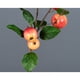 thumbnail image 4 of 1 rama/rojo especificaciones: aproximadamente 48 cm de largo 1 rama/5 frutas Ramas de frutas simuladas flores artificiales de plástico ANGGREK Otros, 4 of 8