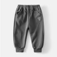 thumbnail image 2 of FAOWME Big Kids Boys Pants Elastic Waist Cartoon Print Thickened Comfortable Breathable Trousers Sweatpants For Casual Sport Wear Grey 3-4 Years, 2 of 7
