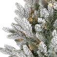 thumbnail image 5 of Nearly Natural 24in. Flocked Artificial Christmas Wreath with 50 LED Lights, 5 of 5