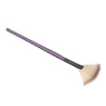 thumbnail image 6 of 1Pc Pro Fan Shape Makeup Cosmetic Brush Blending Highlighter Face Powder Tool, 6 of 6
