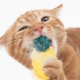 thumbnail image 4 of Mordedor Congelable Con Forma De Fruta Para Perros, Para La Dentición En Verano, Juego Interactivo, 4 of 5