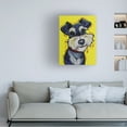 thumbnail image 3 of Hippie Hound Studios 'Schnauzer Mr Foo' Canvas Art, 3 of 3