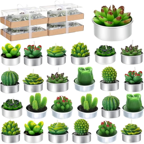 Velas de cactus 24, Juego de velas suculentas con caja de regalo de cinta, Cera de parafina de alta calidad Quema duradera y sin humo, Perfecto para Navidad, Acción de Gracias, bodas, eventos