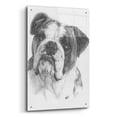 thumbnail image 2 of Epic Art 'American Bulldog' by Barbara Keith, Acrylic Glass Wall Art, 24"x36", 2 of 8