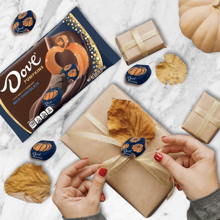 DOVE Promises Milk Chocolate Pumpkins, 8.87oz Halloween Candy
