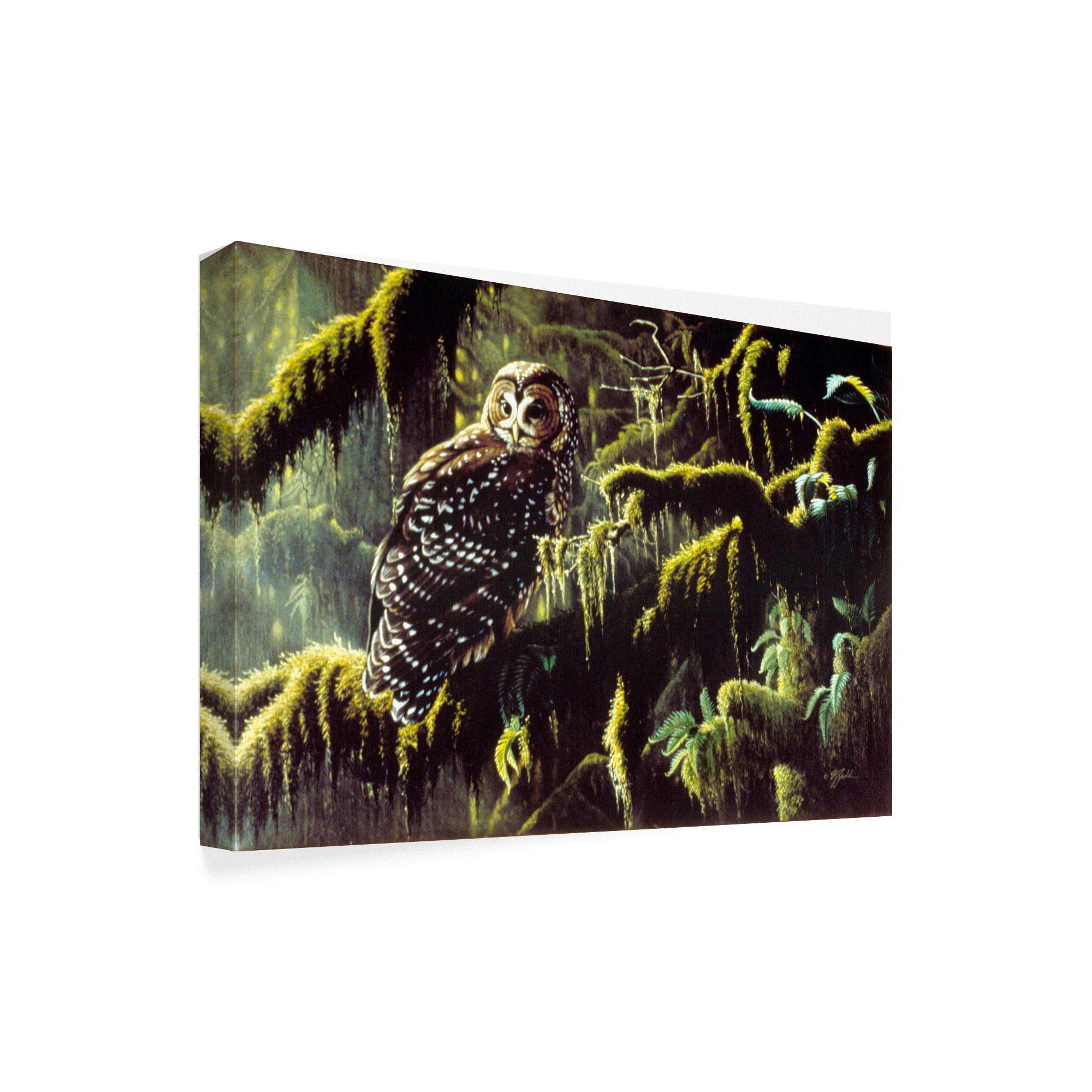 Trademark Fine Art 'Spirit Of Ancient Forests' Canvas Art by Wilhelm Goebel