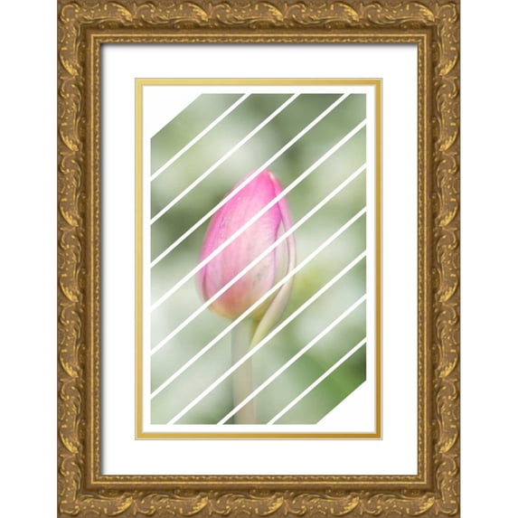Murdock, Ramona 17x24 Gold Ornate Wood Framed with Double Matting Museum Art Print Titled - Spring Tulip