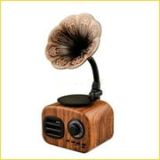 Homeex Retro Wireless Speaker Creative Gift Mini Outdoor Subwoofer Brown USB