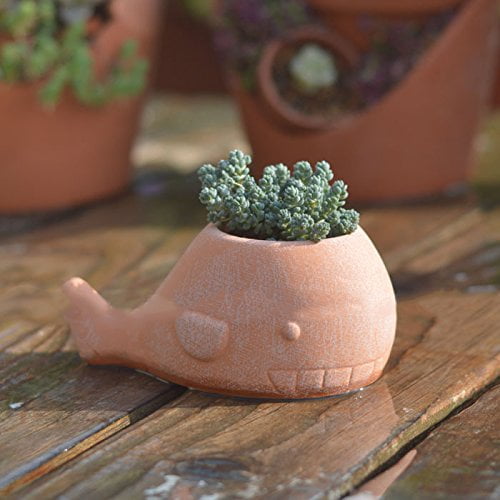 Mr. Garden Dolphin Shape Planter Ceramic Pot,Manual Originality