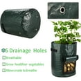thumbnail image 3 of Futone Grow Bags, Potato Planter Bags, Planting PE Aeration Pots with Handles and Flap, Garden Bags for Vegetables, Tomatoes, Carrots, Onions (10 Gallons - 2 Pack - Green), 3 of 6