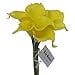 thumbnail image 3 of Lily Garden Mini 15" Artificial Calla Lily 10 Stem Flower Bouquets (Yellow), 3 of 3