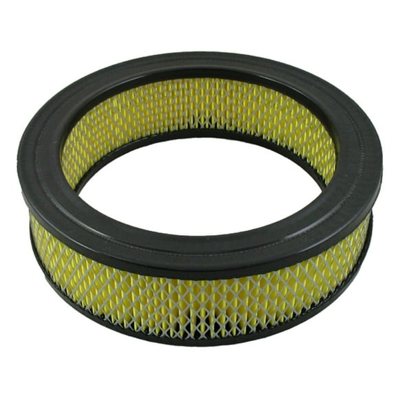 Pentius PAB160 Pentius Filter Fits select: 2003 DODGE RAM 3500, 1989-1996 DODGE DAKOTA