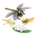 thumbnail image 4 of Life Cycle of A Dragonfly Insects Life Cycles Growth Model Children Animal Growth Cycle Science Educational Toys, 4 of 6