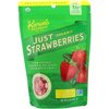 Karen's Naturals, Organic Just Strawberries, 1.2 oz