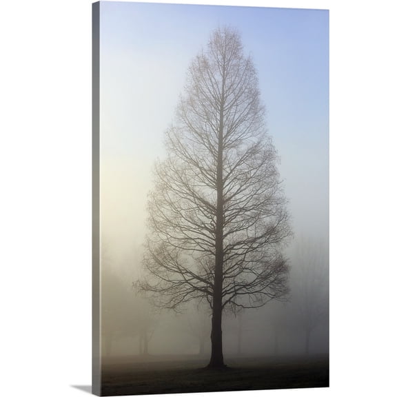 Great BIG Canvas | "Trees Surrounded By Fog, Oregon Cascades, Oregon" Canvas Wall Art - 24x36