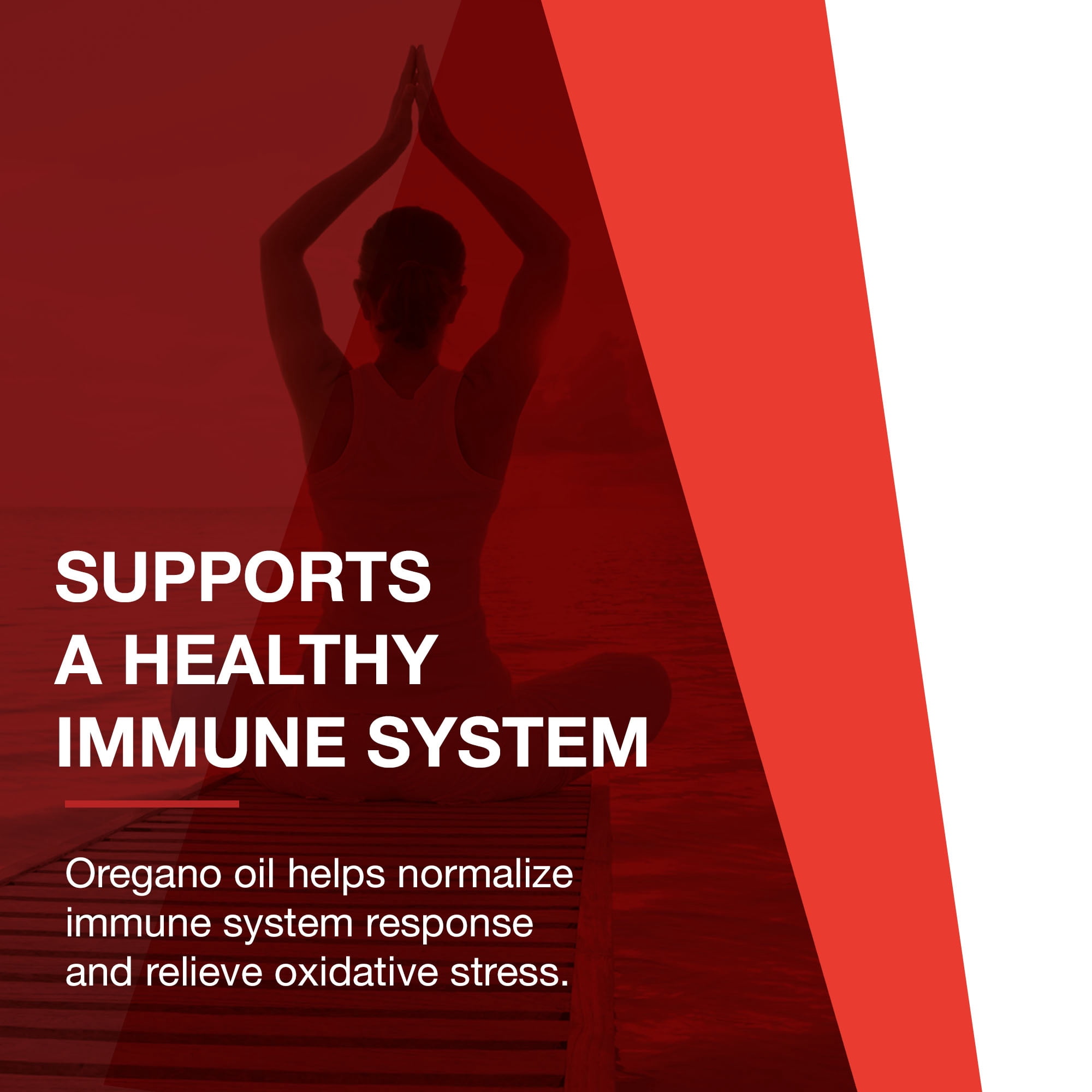 Protocol For Life Balance - Oregano Oil - with Ginger and Fennel Oil, Helps Provide Intestinal Support, Immune System Function - 90 Softgels