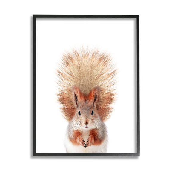Stupell Industries Squirrel Wildlife Portrait Animals & Insects Painting Black Framed Art Print Wall Art, 11 x 14
