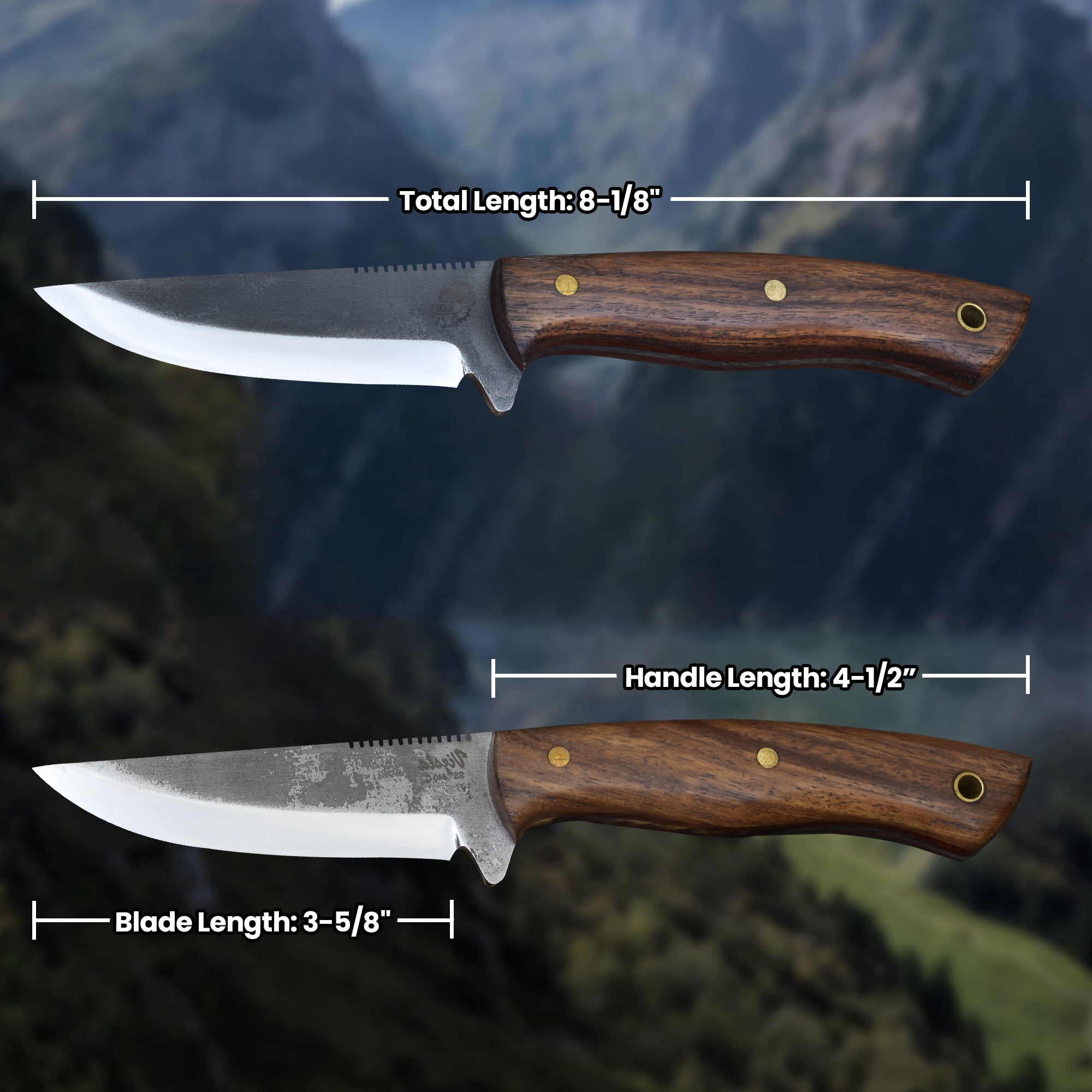 Knives Ranch 3097 440C Steel Bushcraft Knife with Rosewood Handle – Fixed Blade Outdoor Knife for Camping, Survival, Hunting & Utility Tasks