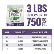 Pennington Smart Seed Dense Shade Grass Seed Mix. 3 lb.