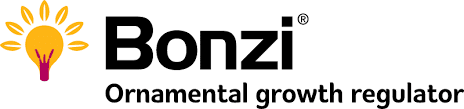 Bonzi Ornamental Plant Growth Regulator - 32 fl oz Bottle by Syngenta
