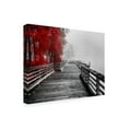 thumbnail image 2 of Trademark Fine Art 'Fall Walkway Wood' Canvas Art by Vladimir Kostk, 2 of 3