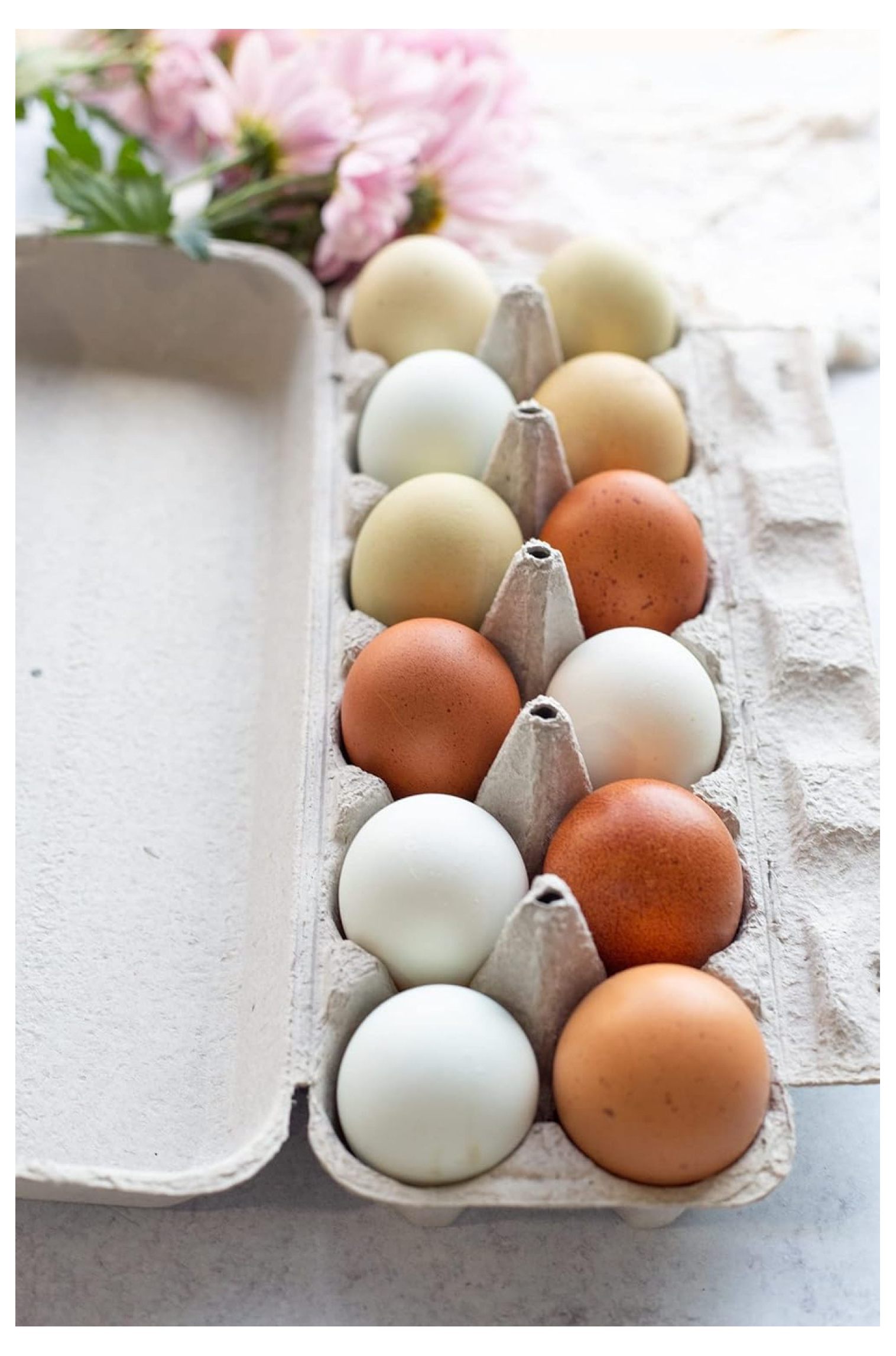 Blank 12-Egg Flat Top Paper Pulp Carton - Bulk Egg Cartons (125)