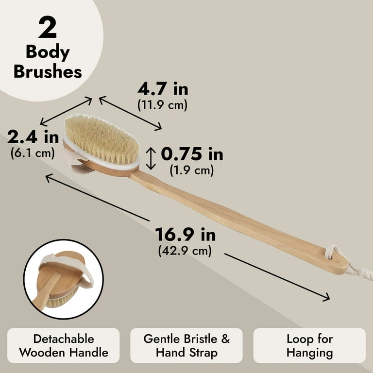 Dry Brushing Body Shower Brush - Detachable Long Handled Scrub Brush for  Lymphatic Drainage Showering Back Bath Brush Set for Dry Brushing Natural  Body Brush with Exfoliating Glove for Women & Man
