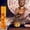 C, variant on TopLLC Responsive Incense Roll Money Incense Household Buddha Offering Incense Sandalwood Incense Guanyin Bodhisattva Incense Buddha Family Incense