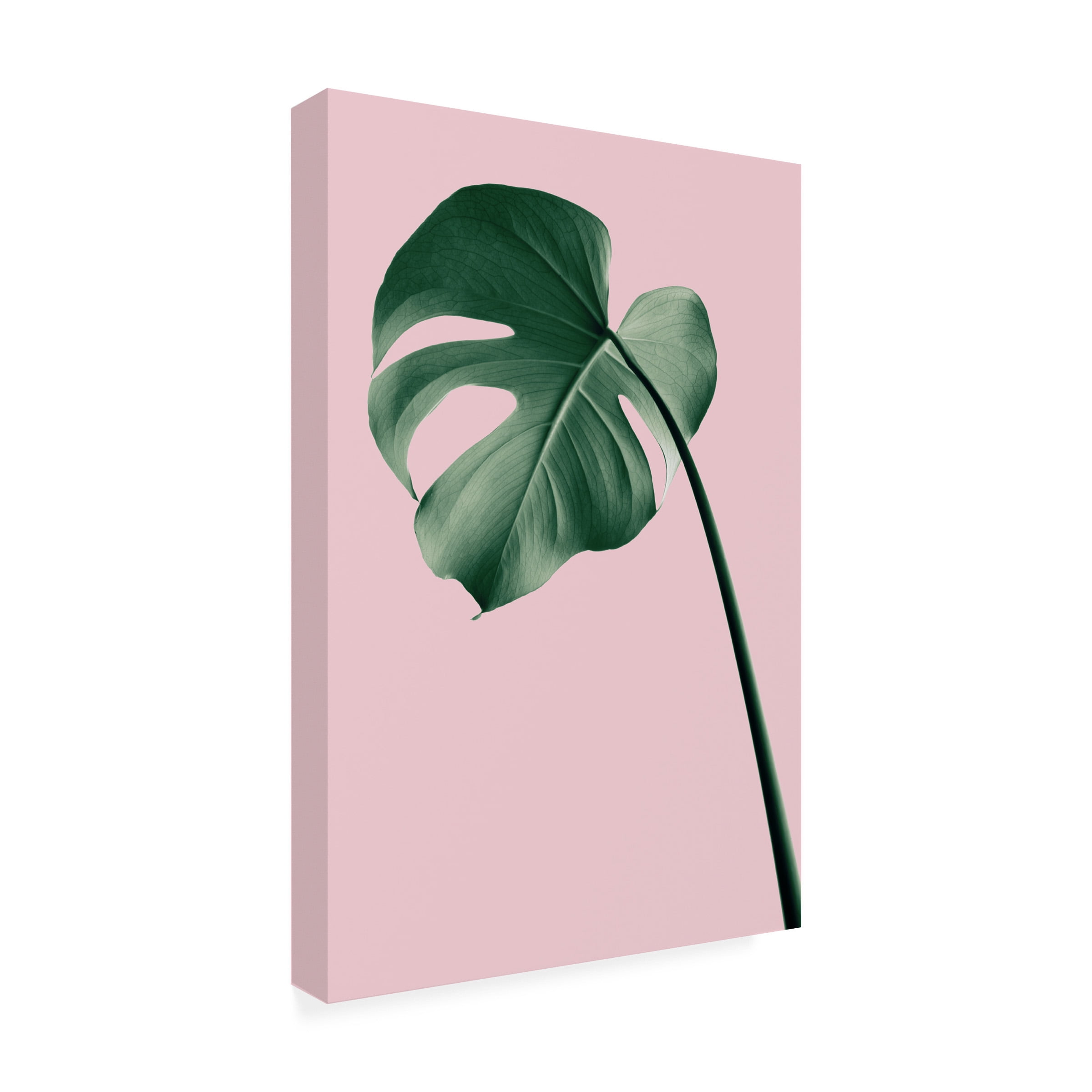 1X Studio Iii 'Monstera Pink No 05' Canvas Art
