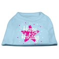 thumbnail image 1 of Scribble Happy Holidays Screenprint Shirts Baby Blue S (10), 1 of 1