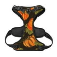 thumbnail image 5 of Lsque Orange Pumpkin Dog Harness, No-Pull Pet Harness with 2 Leash Clips, Adjustable Soft Padded Dog Vest with Easy Control Handle for Large Dogs-Medium, 5 of 9