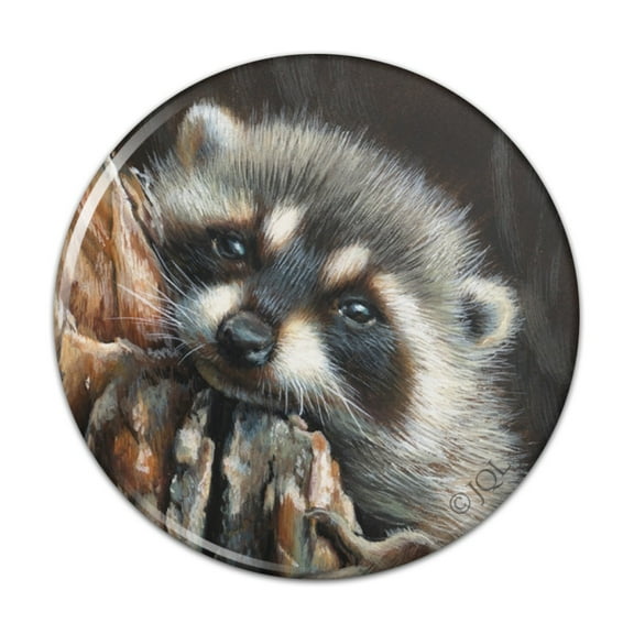 Lazy Daydreaming Raccoon in Tree Pinback Button Pin