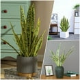 thumbnail image 2 of 4 Pack Artificial Snake Plants 26" Faux Agave Fake Sansevieria UV Resistant Plant for Indoor and Outdoor Home Garden Office Store Decoration Home Décor, 2 of 5
