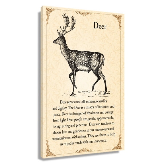 Deer Quotes Wall Art Knowledge Poster Vintage Animal Wall Art Infographic Poster For Room Giclee Print Canvas Framed 24×36 in